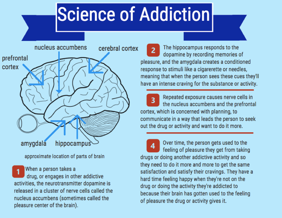 science of addiction