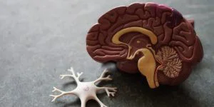 Understanding How Addiction Affects the Brain