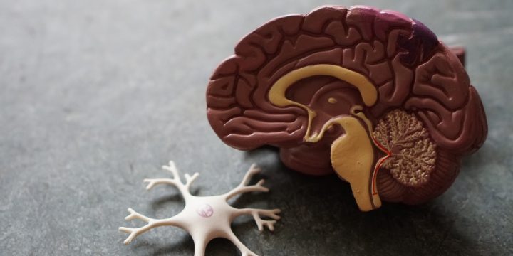 Understanding How Addiction Affects the Brain Understanding How Addiction Affects the Brain