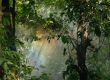 The Profound Healing Benefits of Nature