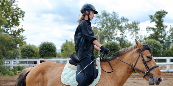 Why Is Equine Assisted Psychotherapy (EAP) a Valuable Addition to Traditional Addiction Treatment?