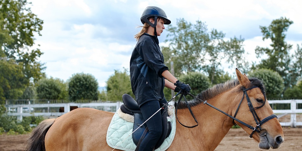 Why Is Equine Assisted Psychotherapy (EAP) a Valuable Addition to Traditional Addiction Treatment?