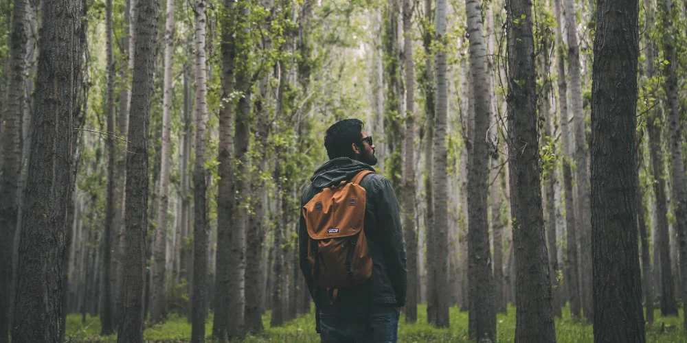 Steps to Long-Term Recovery From Heroin Addiction Steps to Long-Term Recovery From Heroin Addiction