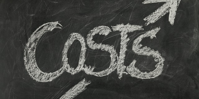 Costs of an alcohol detox