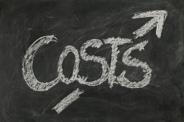 Costs of an alcohol detox
