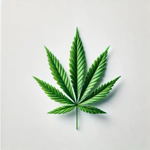 Cannabis Leaf