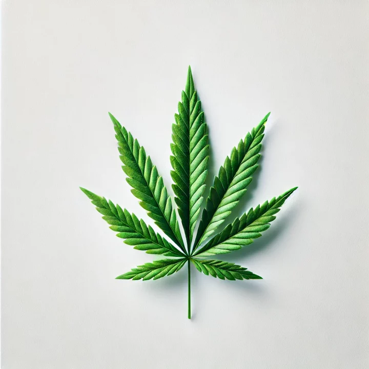 Cannabis leaf Cannabis Leaf