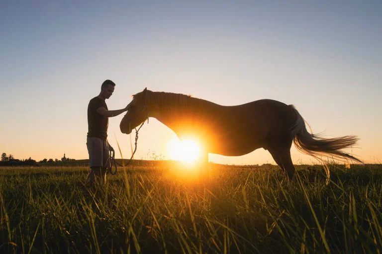 A person bonding with a horse as part of equine therapy for addiction