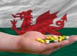 Welsh Flag with bromazolam in someones hand in front